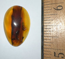 Load image into Gallery viewer, Dinosaur age Burmite Fossil AMBER with 15 Winged Insects! TESTED FOR AUTHENTICITY!!
