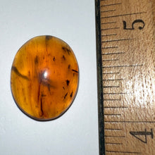 Load image into Gallery viewer, Dinosaur age Burmite Fossil AMBER with 13 Winged Insects! TESTED FOR AUTHENTICITY!!
