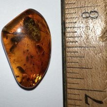 Load image into Gallery viewer, GEM Dinosaur age Burmite Fossil AMBER with Beetles, Winged Insects, and a HUGE 8 mm COCKROACH! TESTED FOR AUTHENTICITY!!
