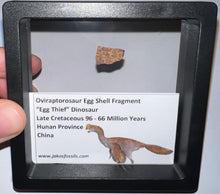 Load image into Gallery viewer, Framed Oviraptor type Dinosaur Eggshell Lot One Per Order .5 Inches
