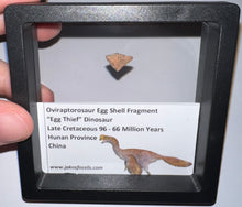 Load image into Gallery viewer, Framed Oviraptor type Dinosaur Eggshell Lot One Per Order .5 Inches

