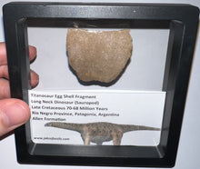 Load image into Gallery viewer, Framed Huge Titanosaur Giant Long Neck Dinosaur Eggshell Lot One Per Order 1.5 to 2 Inches
