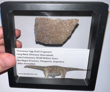 Load image into Gallery viewer, Framed Huge Titanosaur Giant Long Neck Dinosaur Eggshell Lot One Per Order 1.5 to 2 Inches
