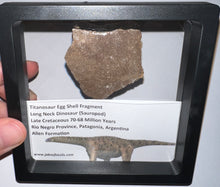 Load image into Gallery viewer, Framed Huge Titanosaur Giant Long Neck Dinosaur Eggshell Lot One Per Order 1.5 to 2 Inches
