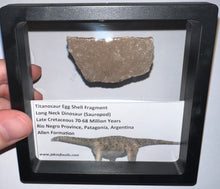 Load image into Gallery viewer, Framed Huge Titanosaur Giant Long Neck Dinosaur Eggshell Lot One Per Order 1.5 to 2 Inches

