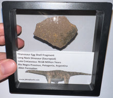 Load image into Gallery viewer, Framed Huge Titanosaur Giant Long Neck Dinosaur Eggshell Lot One Per Order 1.5 to 2 Inches
