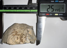 Load image into Gallery viewer, Pachycephalosaurus Fossil Dome Piece 2.54 Inches
