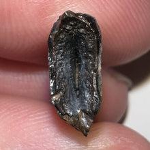 Load image into Gallery viewer, Nanotyrannus Fossil Tooth 1+ Inches with No Repair
