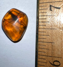 Load image into Gallery viewer, Dinosaur age Burmite Fossil AMBER with a SUPER RARE PREDATORY COCKROACH MANIPULATOR MODIFICAPUTIS! TESTED FOR AUTHENTICITY!!
