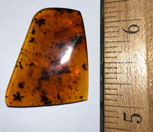 Load image into Gallery viewer, GEM QUALITY Dinosaur age Burmite AMBER with SIX!!! Rare Five Petal FLOWERS! PREHISTORIC BOUQUET!! TESTED FOR AUTHENTICITY!!
