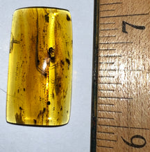 Load image into Gallery viewer, Dinosaur age Burmite Fossil AMBER with rare HELL ANT! TESTED FOR AUTHENTICITY!!
