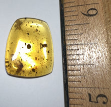 Load image into Gallery viewer, GEM Dinosaur age Burmite Fossil AMBER with rare pristine PSEUDOSCORPION FLY and MITE! TESTED FOR AUTHENTICITY!!
