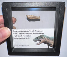 Load image into Gallery viewer, Framed Tyrannosaurus Rex Fossil Tooth Fragments One Per Order
