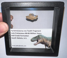Load image into Gallery viewer, Framed Tyrannosaurus Rex Fossil Tooth Fragments One Per Order
