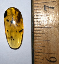 Load image into Gallery viewer, Dinosaur age Burmite Fossil AMBER with a Rare HUGE 11 MM SCORPION! TESTED FOR AUTHENTICITY!!
