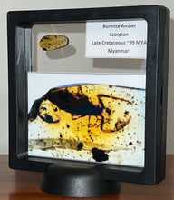 Load image into Gallery viewer, Dinosaur age Burmite Fossil AMBER with a Rare HUGE 11 MM SCORPION! TESTED FOR AUTHENTICITY!!
