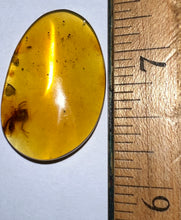 Load image into Gallery viewer, Dinosaur age Burmite Fossil AMBER with a Rare SCORPION! TESTED FOR AUTHENTICITY!!
