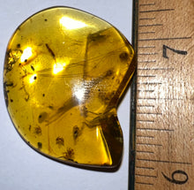 Load image into Gallery viewer, GEM Dinosaur age Burmite Fossil AMBER with rare SPIDER SWARM! 13 SPIDERS! TESTED FOR AUTHENTICITY!!
