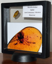 Load image into Gallery viewer, Dinosaur age Burmite Fossil AMBER with rare HUGE 6.6 MM SPIDER! TESTED FOR AUTHENTICITY!!
