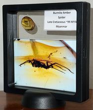 Load image into Gallery viewer, GEM Dinosaur age Burmite Fossil AMBER with rare HUGE 12 MM SPIDER! TESTED FOR AUTHENTICITY!!
