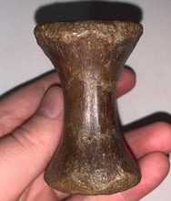 Load image into Gallery viewer, Rare Struthiomimus Fossil Caudal Vertebra Tail Bone from the Hell Creek 2.95 Inches!
