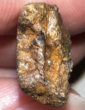 Load image into Gallery viewer, Tyrannosaurus Rex Fossil Juvenile Tooth 1.37 Inches Hell Creek Formation Montana NO REPAIR!
