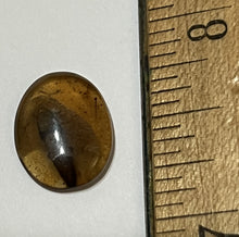 Load image into Gallery viewer, Dinosaur age Burmite Fossil AMBER with a Large 10 mm Beetle! TESTED FOR AUTHENTICITY!!
