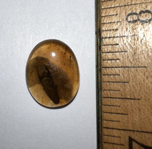 Load image into Gallery viewer, Dinosaur age Burmite Fossil AMBER with a Large 10 mm Beetle! TESTED FOR AUTHENTICITY!!
