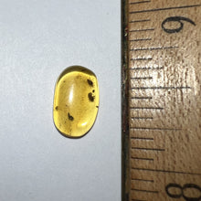 Load image into Gallery viewer, GEM Dinosaur age Burmite Fossil AMBER with a SPIDER and Two TICKS! TESTED FOR AUTHENTICITY!!
