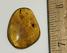 Load image into Gallery viewer, GEM Dinosaur age Burmite Fossil AMBER with a TICK and Two WINGED INSECTS! TESTED FOR AUTHENTICITY!!
